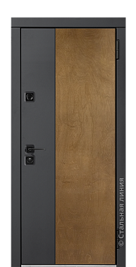 Входная дверь Гарда (вид снаружи) - купить в Дербенте