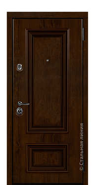 Входная дверь Поло (вид снаружи) - купить в Дербенте